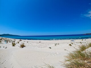 Wall Mural - Sardinia sand beach