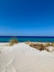 Wall Mural - White Sardinia beach desert