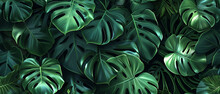 Seamless Pattern - Monstera Leaves