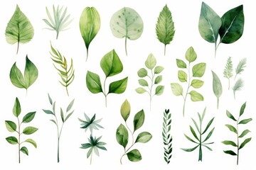 Poster - A collection of fresh green leaves set against a clean white background. Versatile and suitable for various design projects