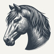Horse Head. Vintage woodcut engraving style vector illustration.