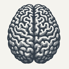 Human Brain. Vintage woodcut engraving style vector illustration.