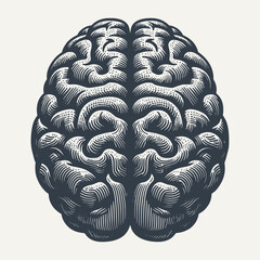 Wall Mural - Human Brain. Vintage woodcut engraving style vector illustration.