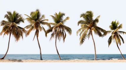Poster - Palm trees lining a beach next to the ocean. Ideal for travel and vacation-themed projects