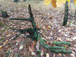 a lichen-covered snag in an autumn forest among fallen leaves