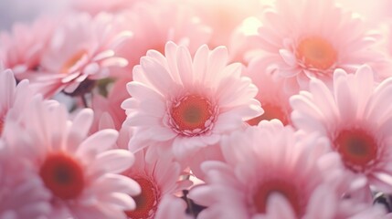 Poster - A close-up view of a bunch of pink flowers. This image can be used to add a touch of elegance and beauty to any project