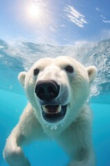 Canvas Print - A polar bear swimming gracefully beneath the surface of the water. Perfect for nature documentaries or educational materials about marine life