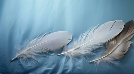 Wall Mural - Three feathers on a blue background. Generative AI.