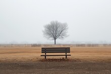 A Solitary Bench Sits Amidst The Tranquil Winter Landscape, Its Wooden Slats Weathered By Time And Its View Of The Fog-shrouded Tree Reminding Us Of The Enduring Beauty Of Nature