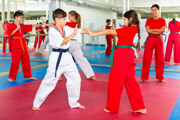 Wall Mural - Young diligent positive teenagers practicing new karate moves in pairs in class