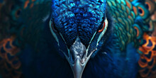 Close Up Of A Blue Peacock Face, Generative AI