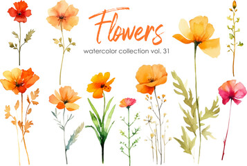 Wall Mural - Watercolor flowers collection. Hand drawn floral vector elements isolated on white background.Botanic Wedding floral design.