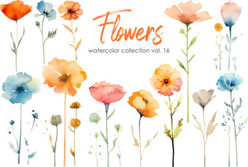 Wall Mural - Watercolor flowers collection. Hand drawn floral vector elements isolated on white background.Botanic Wedding floral design.