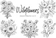 Wildflowers line art vector illustration set isolated on white. Flower black ink sketch. Modern minimalist hand drawn design.