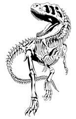 Wall Mural - Black and white dinosaur skeleton with big teeth clipart. Tyrannosaurus rex bones. Anatomy of a large carnivorous dinosaur. Jurassic period. An extinct prehistoric animal. A predator.