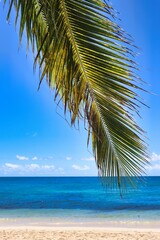 Canvas Print - Dravuni Island, Fiji