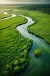Amazing beauty of a lush green wetland from drone view, concept of world wetlands day