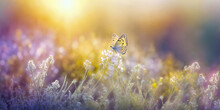 Butterfly On Wildflowers On Meadow On Sunny Day, Bright Wide-format Background With Copy Space, Film Grain Effect