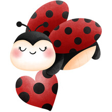 Adorable Ladybug With Red And Black Heart Clipart, Watercolor Valentine Animal Lovers Illustration, Love Bug For Valentines Day Gifts, Wedding, Greeting Card, And Festive Holiday Decoration.