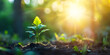 Green leaves background in sunny day | A plant growing in the soil in the sunlight | A plant growing in the soil in the sunlight.| Vibrant Green Leaves Dance Against a Sun-Kissed Canvas