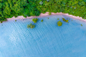 Wall Mural - Top view mangrove forest trees with beautiful sea surface and small waves,Ecosystem and healthy environment concept and nature background.