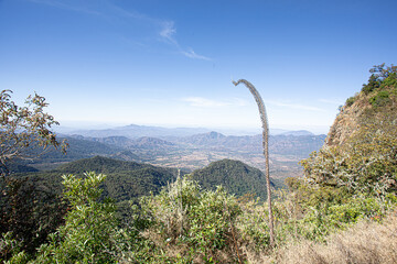 Wall Mural - paisaje desde la sierra de manantlan, casimiro castillo, jalisco