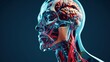 A 3D Rendered Journey into Human Anatomy