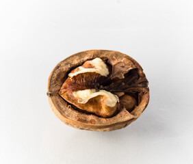 One half of a walnut on a white background