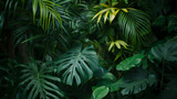 Fototapeta Sypialnia - Dense tropical leaves in a lush setting.