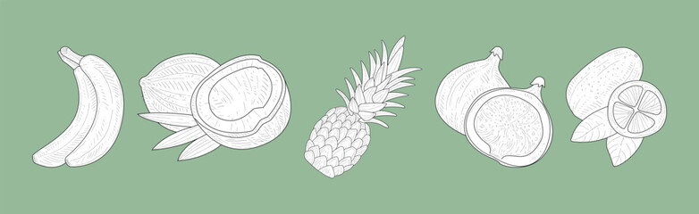 Canvas Print - Hand Drawn Tropical Fruit and Exotic Food Vector Set