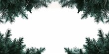 background with thin christmas pine trees and copyspace in the center