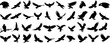 © Arafat - Eagle silhouettes, soaring, landing, vector collection