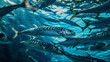 shoal of mackerel fish underwater
