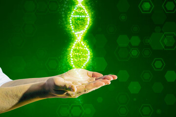Poster - Close up of male hands holding glowing DNA helix on blurry green background. Medical and heredity genetic health concept. Technology science.