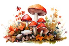Watercolor Autumn Forest Mushrooms On White Background. Hand-drawn Illustration
