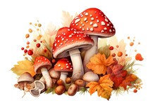 Mushrooms And Autumn Leaves Isolated On White Background. Watercolor Illustration