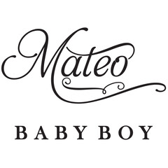 Wall Mural - mateo baby boy sign design name text word font swirl baby mateo