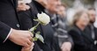 Hands, rose and a person at a funeral in a cemetery in grief while mourning loss at a memorial service. Death, flower and an adult in a suit at a graveyard in a crowd for an outdoor burial closeup