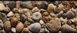 Hundereds of tiny fossils grouped together in a rock on Cyprus. Creative Banner. Copyspace image