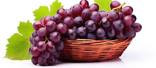 Aufkleber - Grapes with leaves in wicker basket Isolated on white background. Creative Banner. Copyspace image