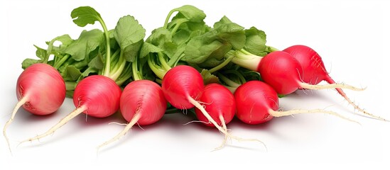 Poster - fresh white radish an isolated on white background. Creative Banner. Copyspace image