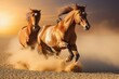 Two horses running in the desert
