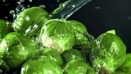 Canvas Print - A stream of water pours into Brussels sprouts. Filmed on a high-speed camera at 1000 fps. High quality FullHD footage