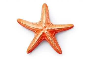 Poster - A detailed close-up shot of a starfish resting on a white surface. This image can be used to add a touch of marine life and natural beauty to various projects