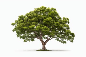 Poster - A tree with vibrant green leaves against a clean white background. Perfect for adding a touch of nature to any design or project