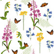 Meadow flowers and butterflies on a white seamless background.