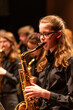 © DyrElena - school jazz band