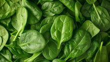 Heap Of Fresh Spinach Leaves Close-up, Texture, Pattern Or Background
