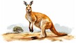 kangaroo showing off her delightful joey.
