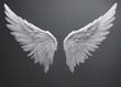 Angel wings isolated on background

